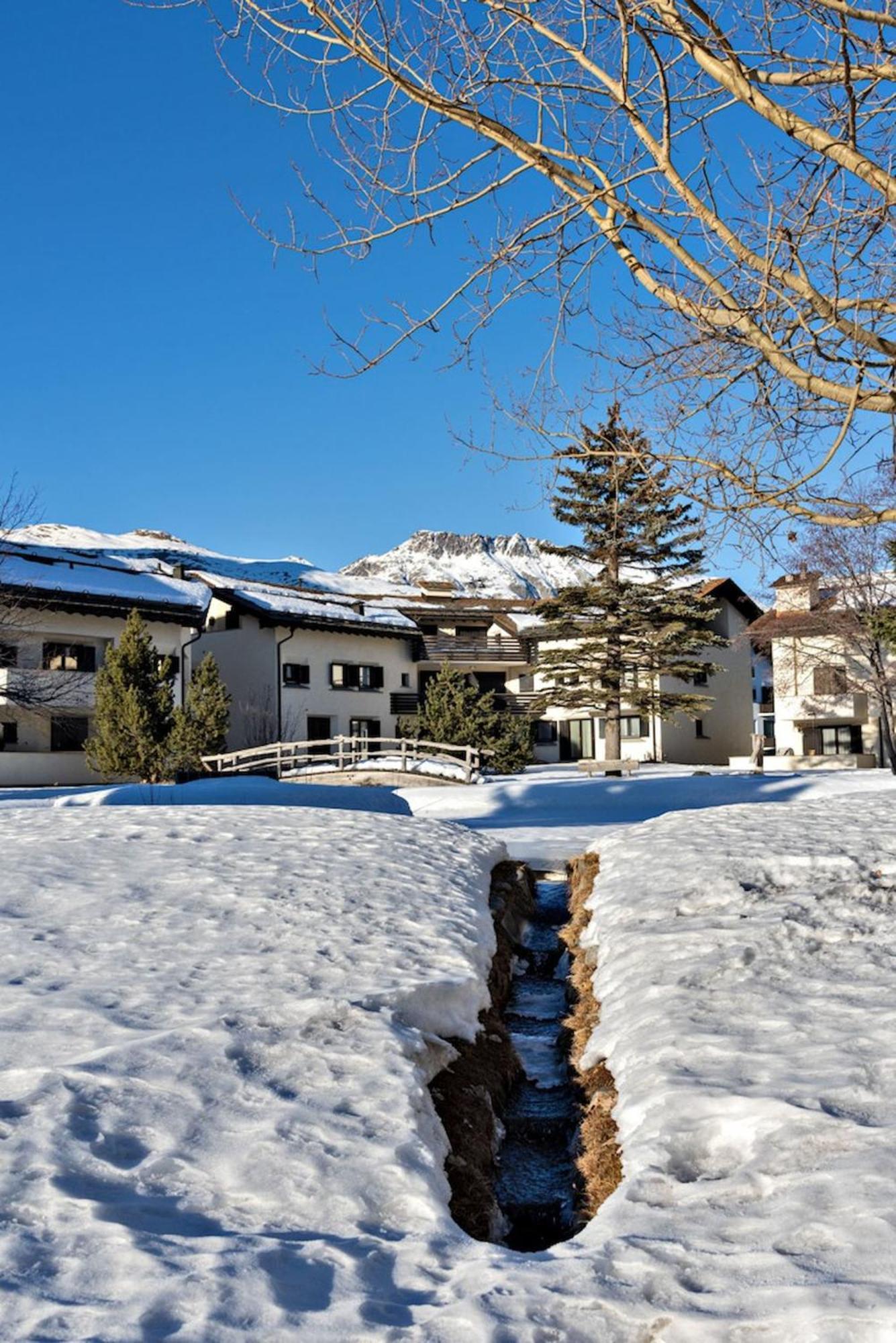 Chesa Chavriol - Celerina Apartment Celerina/Schlarigna Екстериор снимка